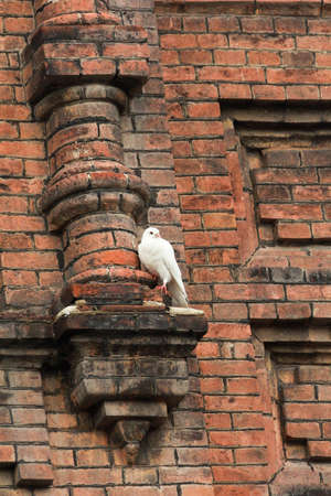Oval window on weathered wall of churchの写真素材