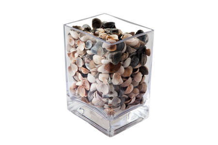 Decorative seashells in square glass containersの写真素材