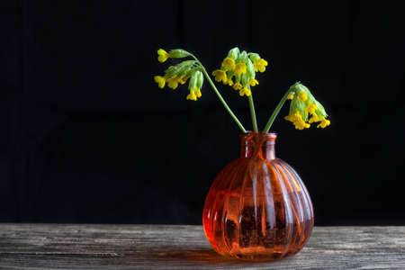 Still life with yellow  flowers on a black background.の写真素材