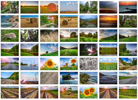 Collage of many nature photos on a white background