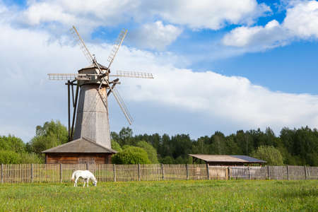 A white horse grazing near a wooden mill on the spring meadow near the old villageの写真素材