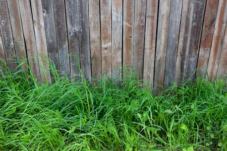 fence on green meadow in nice summer dayの写真素材