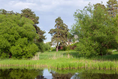 small and beautiful river surrounded by green treesの写真素材