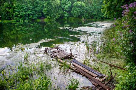 The old wooden bridge in the forestの写真素材
