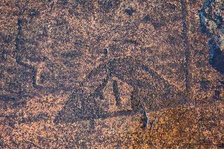 ancient rock carvings petroglyphs on the shore of Onega Lake carved on a granite plate . Age of object - 5000-6000 years. Cape Besov Nos, Karelia, Russia.の写真素材