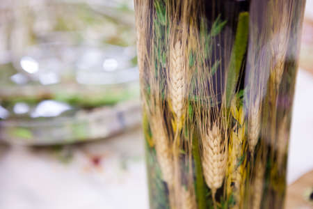 Composition with dry flowers in a glass vaseの写真素材