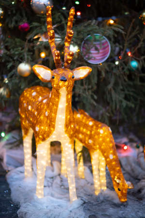 Reindeer with sledge in winter forest in Rovaniemi, Lapland, Finlandの写真素材