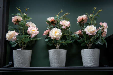 flowers of roses , blue and white, red, yellow, brown, collected in a bouquet in three pots and decorated with roses stand on a wooden tableの写真素材