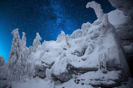 Winter forest in the mountains with a starry skyの写真素材