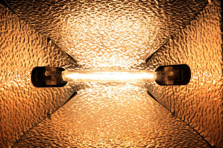 Halogen spotlightsの写真素材