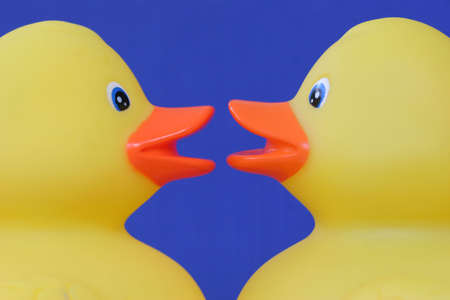 The Opposite is a duck.の写真素材