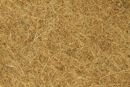 A mat made of coconut fiber is used as a coaster for hot drinks.の写真素材