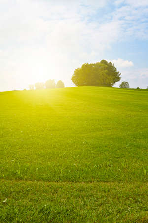 A meadow on a hill is illuminated by golden sunlight.の写真素材