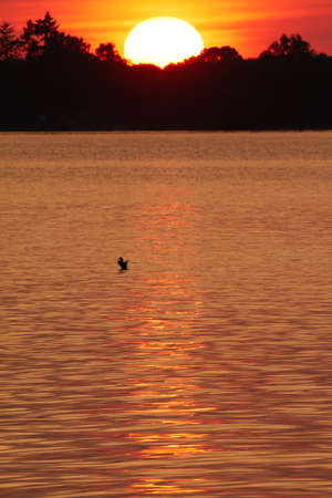 The sun sets over Lake Constance.の写真素材