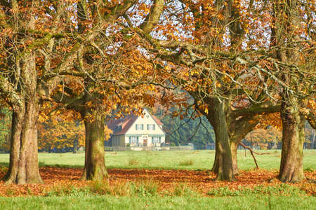 In autumn is behind some trees a house near the forest.の写真素材