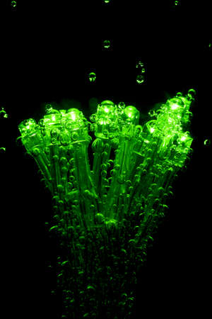 LEDs with gas bubbles are dipped in mineral water.