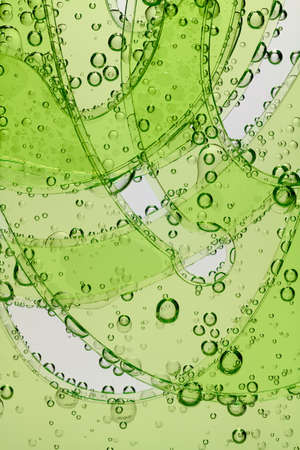 Curve rulers with gas bubbles are dipped in mineral water.
