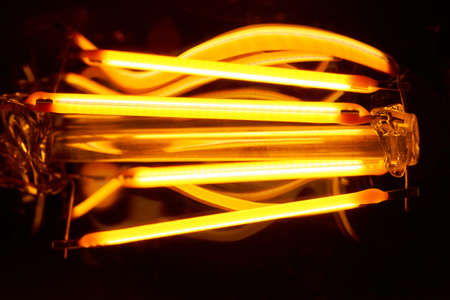 Light-emitting diodes constructed as filament emit bright light.の写真素材