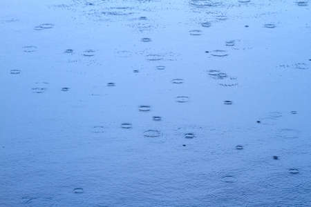 Circles of raindrops can be seen on a pond.