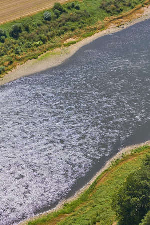 Sun rays reflected on a water surface in motion.