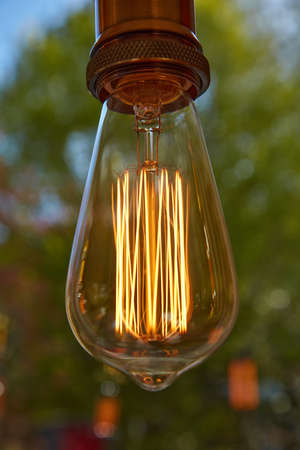 A lamp hangs in the bright sunshine with a garden as a background.