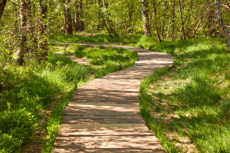 Wooden path through the Venner Moor, a nature reserve in the municipality of Senden in North Rhine-Westphalia, Germany.の写真素材