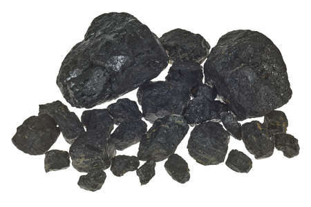 Several pieces of coal before exemptly white background.