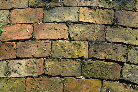 Old bricks as a walkway in the gardenの写真素材