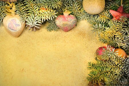 Spruce twigs on the background of gray paperの写真素材