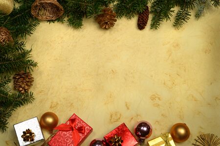 Spruce twigs on the background of gray paperの写真素材