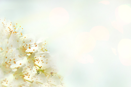 carpet with small flowers of different colorsの写真素材