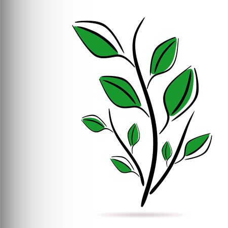 Decorative floral green plant for design.のイラスト素材