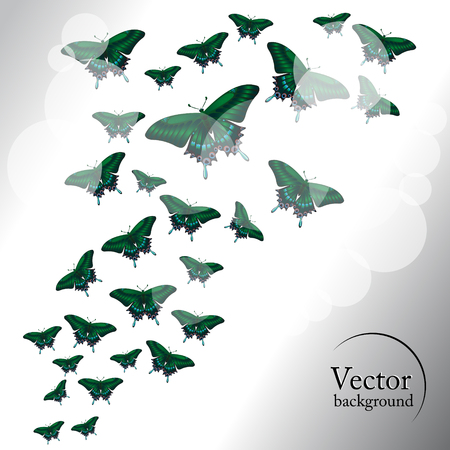 Green butterflies. Abstract background.のイラスト素材