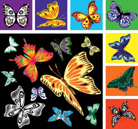 Set of colorful art butterfliesのイラスト素材
