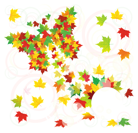 Colorful butterfly isolated on whiteのイラスト素材