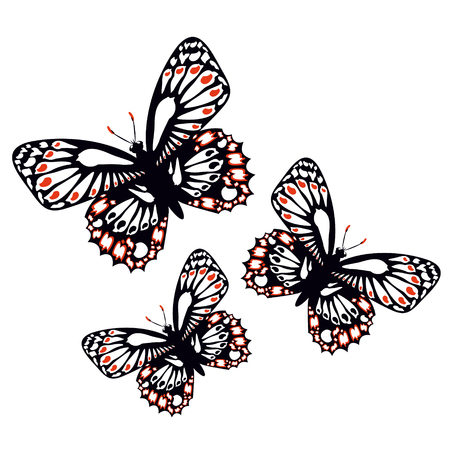 Set of colorful art butterflies on white backgroundのイラスト素材