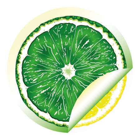 A lemon hiding under a lime.のイラスト素材