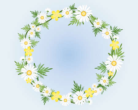 an illustration of a decorative camomile flower and foliage wreath on a sky blue backgroundのイラスト素材