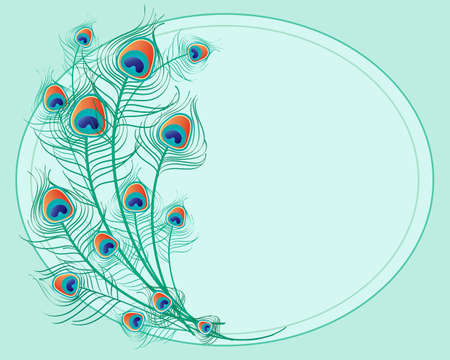 an illustration of beautiful peacock feathers arranged in a light green oval shape with space for textのイラスト素材