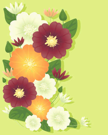 an illustration of clematis flowers in orange cream and maroon with foliage and buds on a pale green background with shadowのイラスト素材