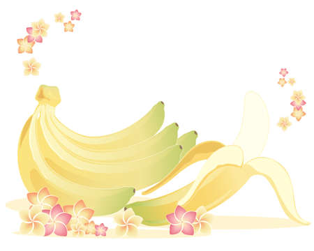 an illustration of a bunch of bananas and one banana ready to eat with colorful frangipani flowers for decoration on a white backgroundのイラスト素材