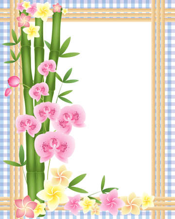 an illustration of green bamboo shoots with a pink orchid and frangipani flowers on a purple gingham background with a white space in the middle for textのイラスト素材