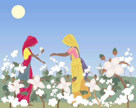 an illustration of two traditionally dressed women laborers in india picking cotton in a field under a hot sun and blue skyのイラスト素材