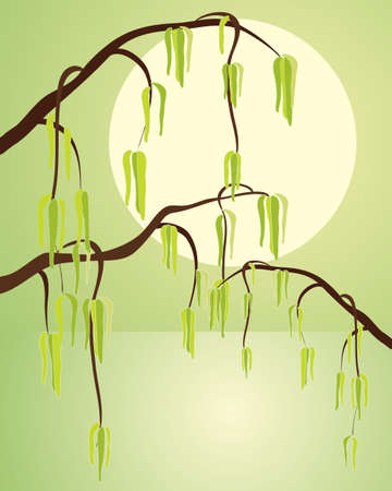 an illustration of hazel catkins with dark branches in front of a yellow sun over green watery backgroundのイラスト素材