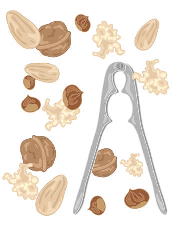 an illustration of a pair of nutcrackers with almonds walnuts and hazelnuts scattered on a white backgroundのイラスト素材