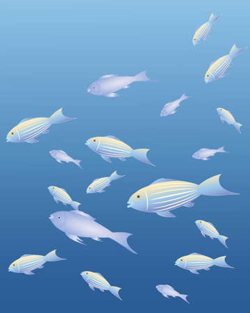 an illustration of exotic fish with fancy patterns and color swimming on an ocean color backgroundのイラスト素材