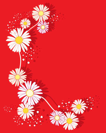 an illustration of a summer daisy flower design on a bright red background in greeting card formatのイラスト素材
