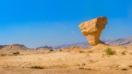 stone sculptures of a bizzare shape in the middle of the stony desertの写真素材