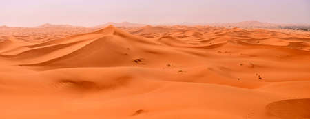 Orange dunes of the Sahara Desert as waves of the boundless oceanの写真素材