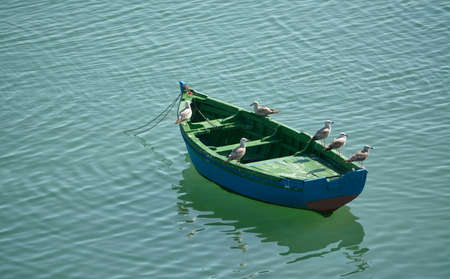 the boat tied to the coast on which sits several seagullsの写真素材